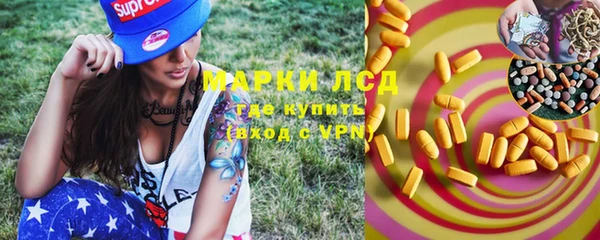 прущие грибы Армянск
