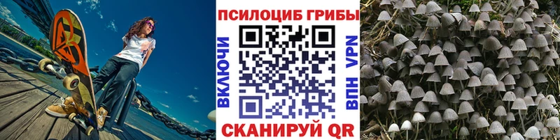 Псилоцибиновые грибы ЛСД  Тайшет 